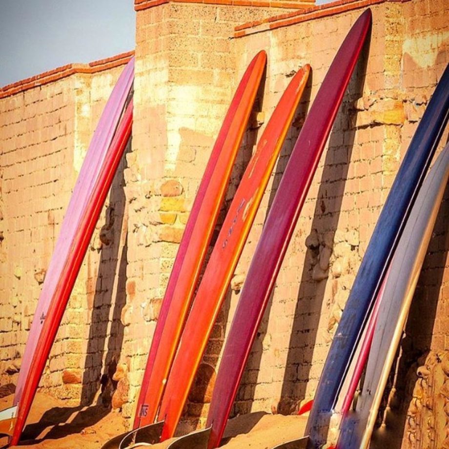 Longboard Gliders | Material de Surf